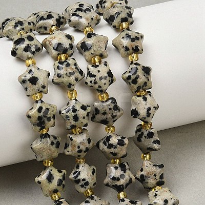 Natural Dalmatian Jasper Beads Strands G-Z080-A08-10mm-1