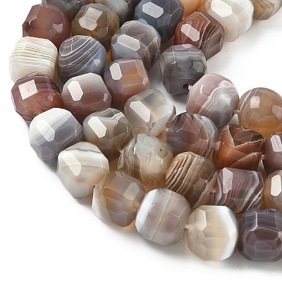 Natural Botswana Agate Beads Strands G-C267-A07-1