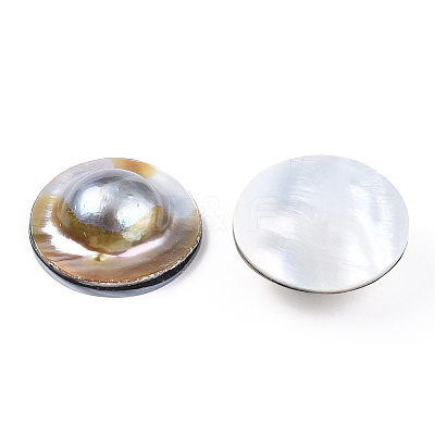 Natural Shell Cabochons PEAR-N020-Q02-1
