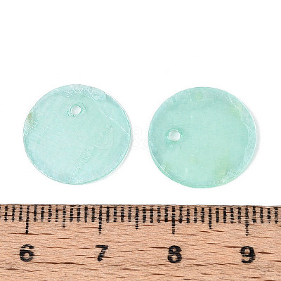 Spray Painted Natural Capiz Shell Disc Charms BSHE-T014-02D-1