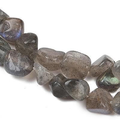 Natural Labradorite Beads Strands G-Q060-E20-01-1