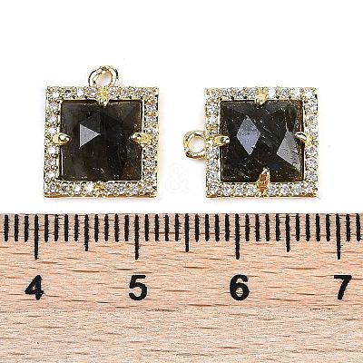 Natural Labradorite Faceted Square Charms G-I375-06G-08-1