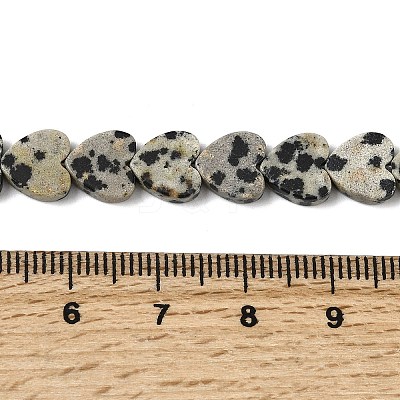 Natural Dalmatian Jasper Beads Strands X-G-M403-A31-03-1