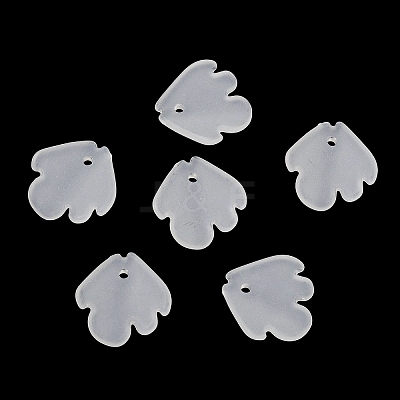 Frosted Acrylic Pendants SACR-F016-02A-1