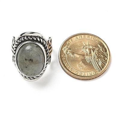 Natural Labradorite Adjustable Rings RJEW-I108-01AS-03-1