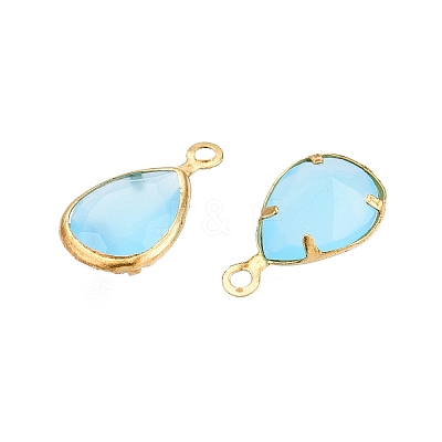 K9 Glass Charms GLAA-T023-10C-1