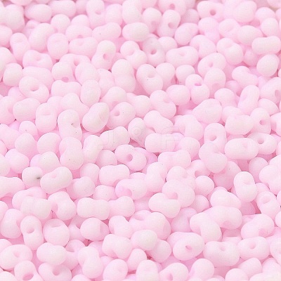Glass Frosted Seed Beads SEED-K009-05B-02-1