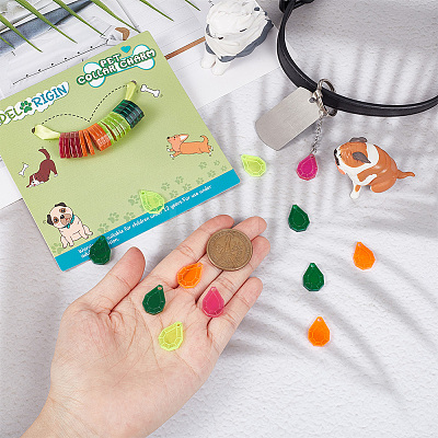 32Pcs 4 Colors Transparent Blank Acrylic Pet Dog ID Tag PALLOY-AB00045-1