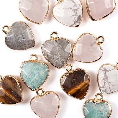 12Pcs 6 Style Electroplate Natural Gemstone Pendants G-LS0002-09-1