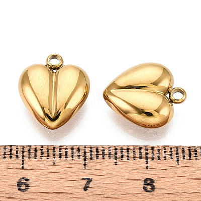 304 Stainless Steel Charms STAS-T065-80G-1