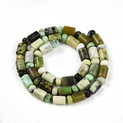Natural Serpentine Beads Strands G-N346-03A-04-1