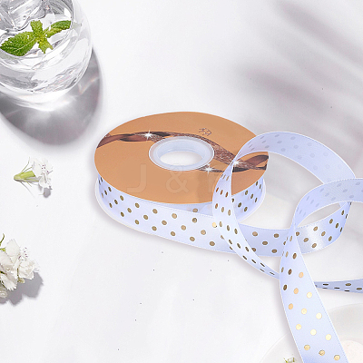 Polyester Ribbon OCOR-WH20816-012B-1
