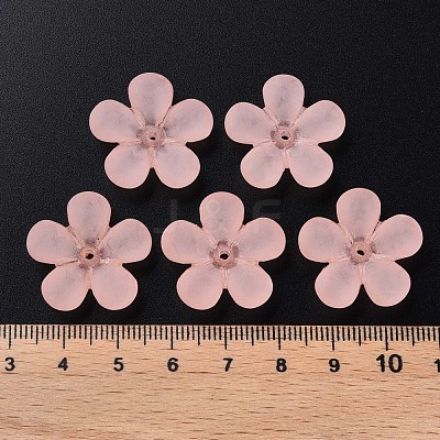 Transparent Acrylic Beads MACR-S373-116-D10-1