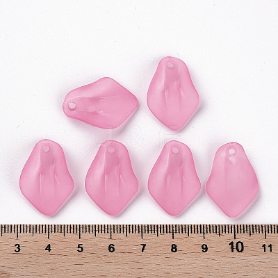 Transparent Frosted Acrylic Pendants LS-MACR-S371-03A-704-1