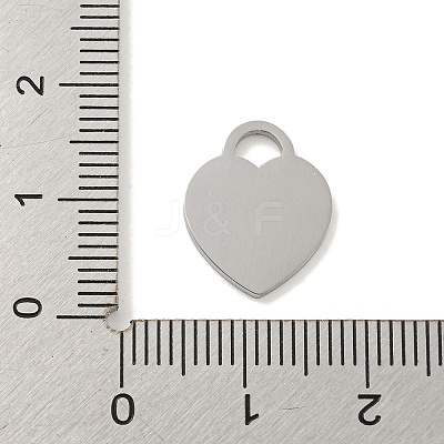 Non-Tarnish 304 Stainless Steel Pendants FIND-M017-01P-N-1