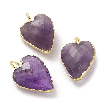 Natural Amethyst Pendants G-G012-11G-08-1