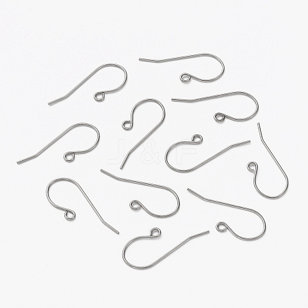Tarnish Resistant 304 Stainless Steel Earring Hooks LS-X-STAS-L253-004P-1