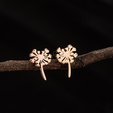 201 Stainless Steel Stud Earrings FS-WG9DC15-03-1