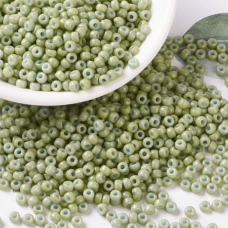 MIYUKI Round Rocailles Beads SEED-G008-RR4473-1