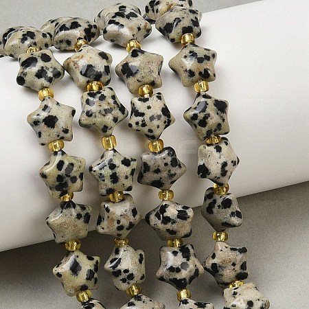 Natural Dalmatian Jasper Beads Strands G-Z080-A08-10mm-1