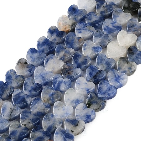 Natural Blue Spot Jasper Beads Strands G-M403-A21-02-1