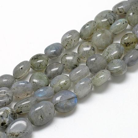 Natural Labradorite Beads Strands G-R445-8x10-20-1