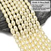 Eco-Friendly Glass Pearl Barrel Beads Strands HY-O001-A-03-4