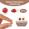 Natural Agate Cabochons G-R416-10mm-12-3