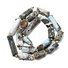 Natural Larimar Beads Strands G-D353-A03-3