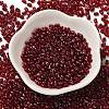 Spray Painted Glass Seed Beads SEED-F005-11A-03-2