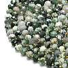 Natural Tree Agate Beads Strands G-P573-A17-01-3
