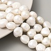 Natural Cultured Freshwater Pearl Beads Strands PEAR-A006-13B-2