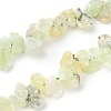 Natural Prehnite Beads Strands G-I283-D03-1