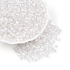 Glass Seed Beads SEED-N007-01A-2