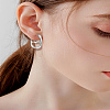 1 Pair Alloy Hoop Earrings EJEW-LP0013-04P-1