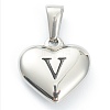 304 Stainless Steel Pendants STAS-P278-01V-P-1