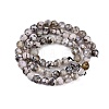 Natural Fire Crackle Agate Beads Strands G-C082-A01-43-3
