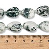 Natural Tree Agate Beads Strands G-NH0068-01-5