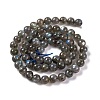 Grade AA Natural Gemstone Labradorite Round Beads Strands G-E251-33-6mm-01-5