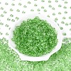 Transparent Colours Glass Seed Beads SEED-N007-39A-04-2