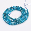 Natural Apatite Beads Strands G-F568-077-3mm-2