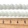 Natural Myanmar Jadeite Beads Strands G-L595-C01-01B-5