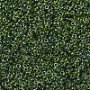 MIYUKI Round Rocailles Beads X-SEED-G007-RR0350-4