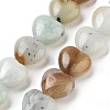 Natural Flower Amazonite Beads Strands G-B022-29C-2