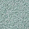 11/0 FGB Grade A Round Glass Seed Beads SEED-N001-B-0487-2