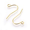 Iron Earring Hooks X-IFIN-T001-04G-NF-1