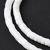 Natural Freshwater Shell Beads Strands X-SSHEL-C013-04B-3