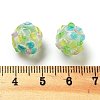 Handmade Lampwork Beads Strands LAMP-N021-015A-13-3