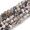 Natural Fire Crackle Agate Beads Strands G-C082-A01-43-2