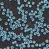 8/0 Glass Seed Beads SEED-J012-F8-103-3